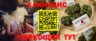 сатива Пенза