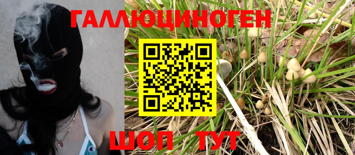 Галлюциногенные грибы Magic Shrooms  Вход с VPN  Ржев 