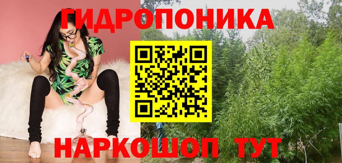 Ржев  Шишки марихуана гибрид  Вход с VPN  МАРИХУАНА Amnesia  Канабис марихуана 